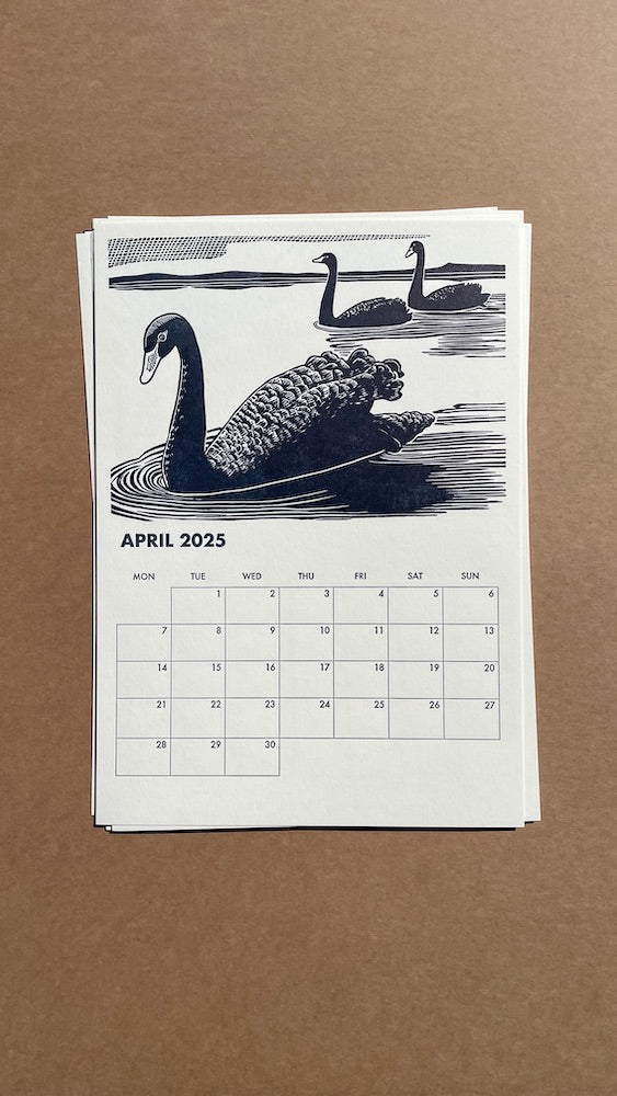 2025 WA Birdlife Calendar - April and Black Swans printed in dark blue ink